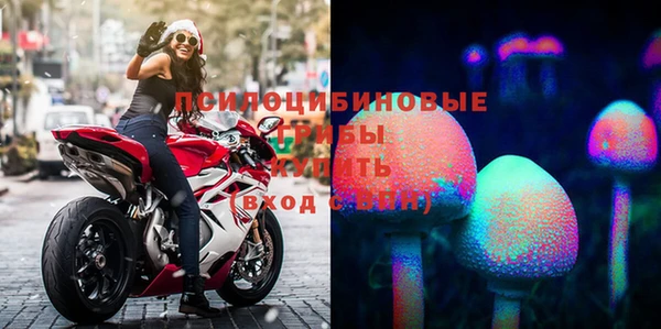 круглые Алзамай